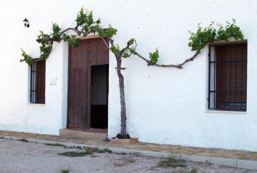 Casa Rural Casa Máxima Yecla Habitación foto